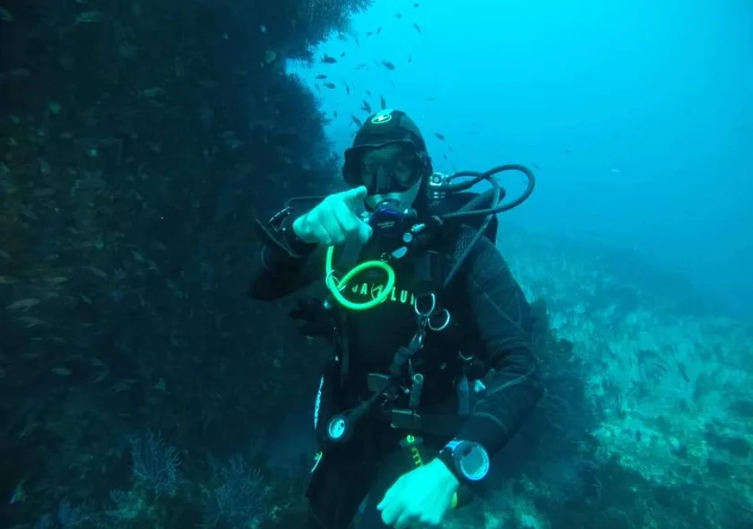 Guided Dive
